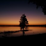 Sunset silhouette over lake with dock pavilion and cypress tree, orange and purple sky
